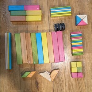 Tegu Wooden magnetic Building Blocks Set